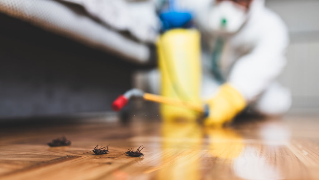 https://www.guardpestcontrol.com.au/wp-content/uploads/2019/11/home-pest-control-cost.png pest control services, pest inspection, pest inspections, professional pest controller, pest control sydney, commercial pest control services, pest control industry, residential or commercial property, other pest control companies, pest control vehicles, pest control experts, pest control solutions, 